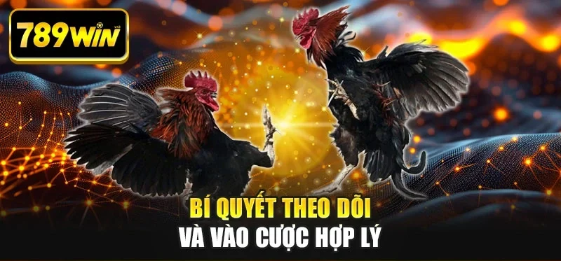 Bí quyết theo dõi và vào cược hợp lý