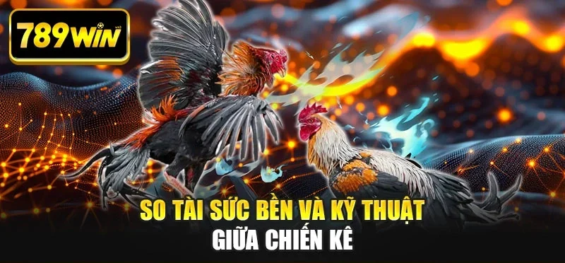 So tài sức bền và kỹ thuật giữa chiến kê