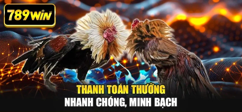 Thanh toán thưởng nhanh chóng, minh bạch